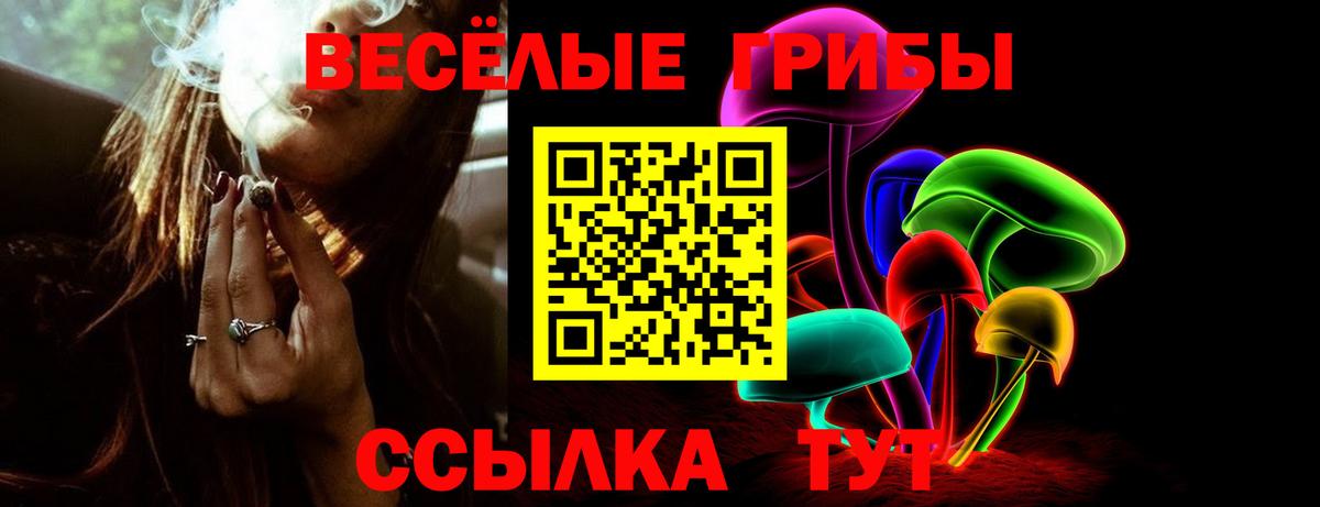 Галлюциногенные грибы Magic Shrooms  Галлюциногенные грибы прущие грибы  Вход с VPN  Лесной 